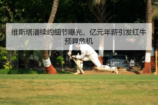 维斯塔潘续约细节曝光，亿元年薪引发红牛预算危机
